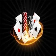 x8bet login